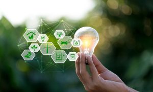 Rolul crucial al unui mentor pentru antreprenoare: Găsește ghidul potrivit în 2025